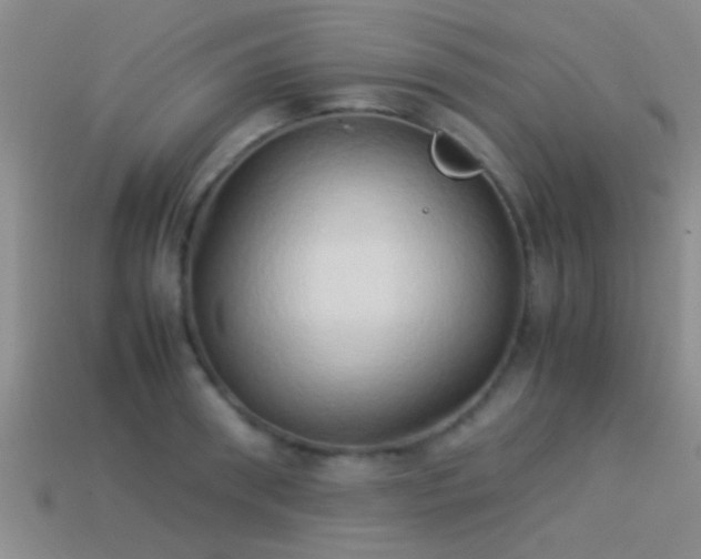 X0000114150898200910151542