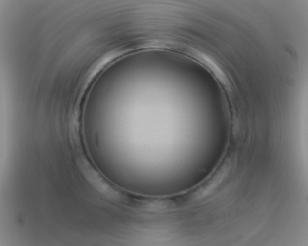 X0000114150899200910151542