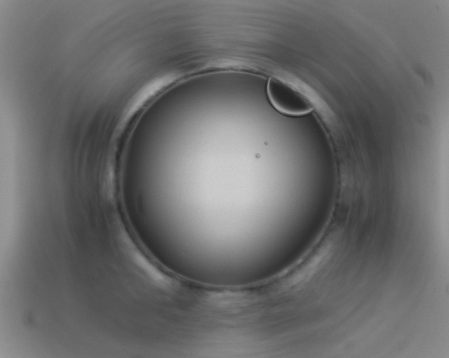 X0000114150902200910151542