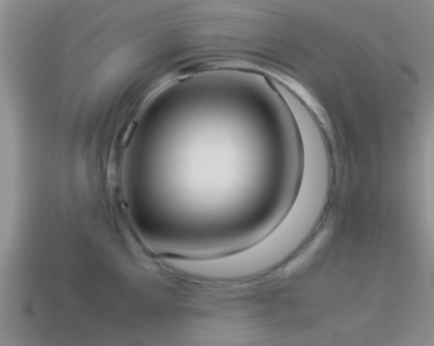 X0000114150905200910151541