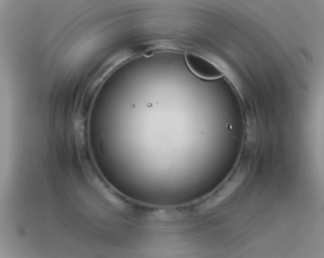 X0000114150906200910151541
