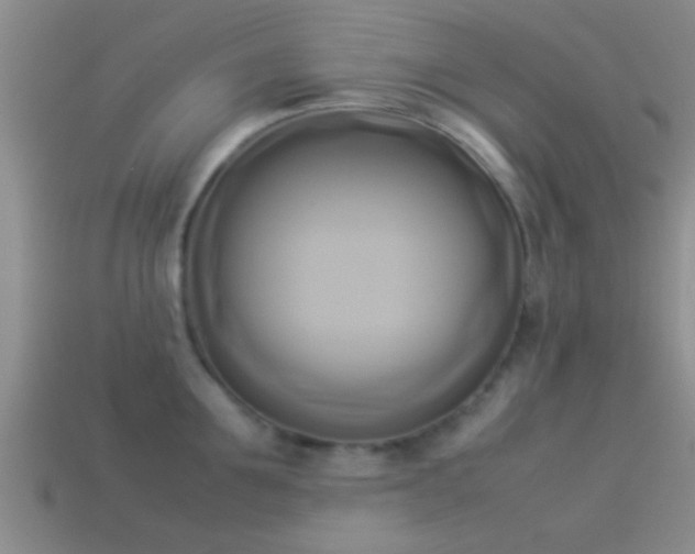 X0000114150907200910151541