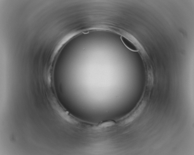 X0000114150908200910151541