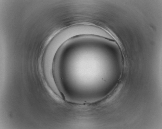 X0000114150909200910151541