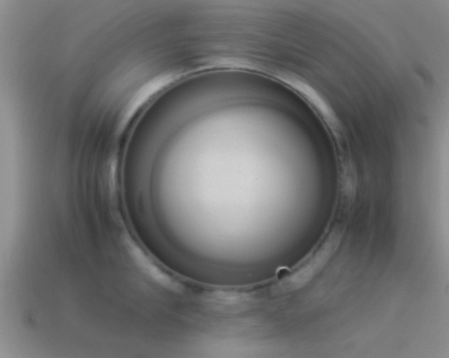 X0000114150910200910151541