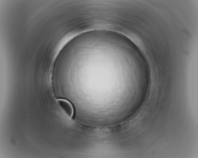 X0000114150912200910151541