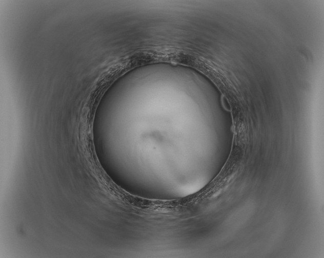 X0000114150913200910151541
