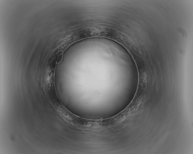 X0000114150914200910151541