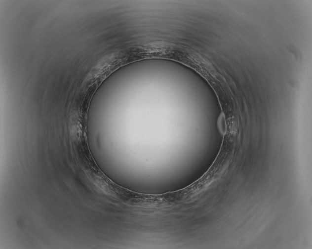 X0000114150916200910151541