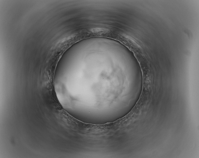 X0000114150917200910151541
