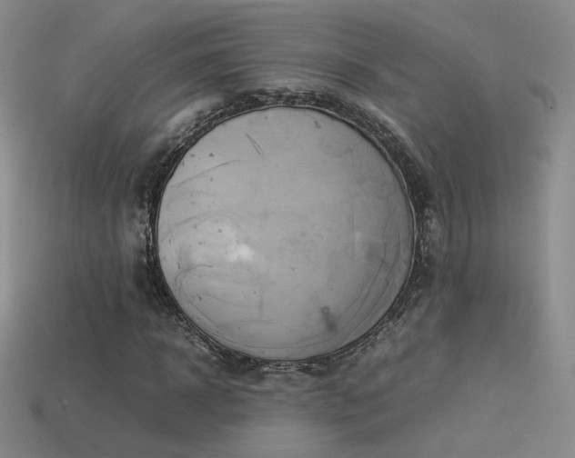 X0000114150918200910151541