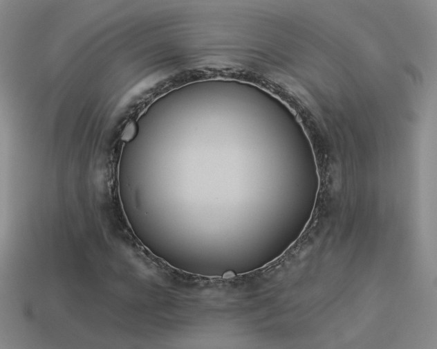X0000114150920200910151541