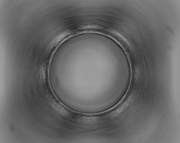 X0000114150921200910151541