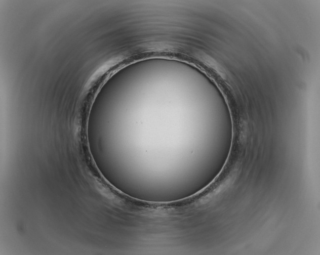 X0000114150922200910151541