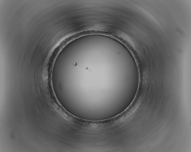X0000114150923200910151541