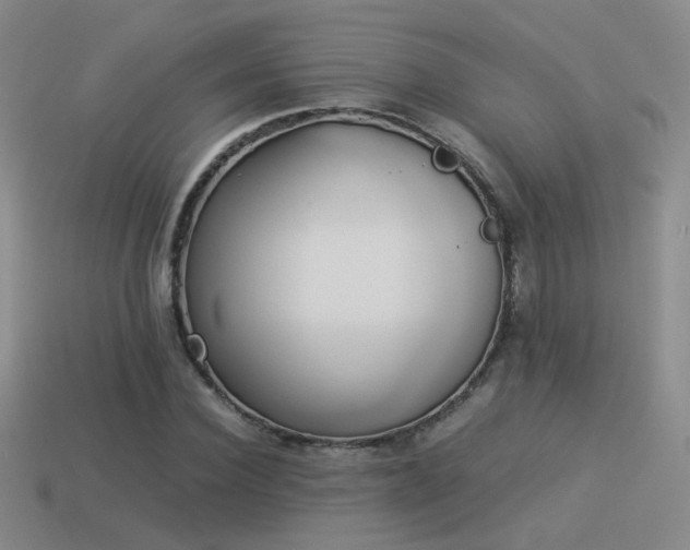X0000114150924200910151541