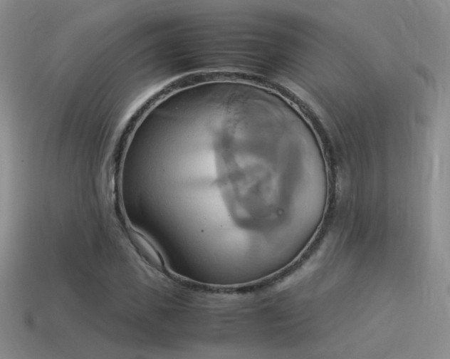 X0000114150925200910151541