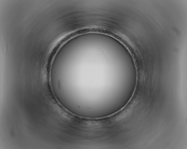 X0000114150927200910151541