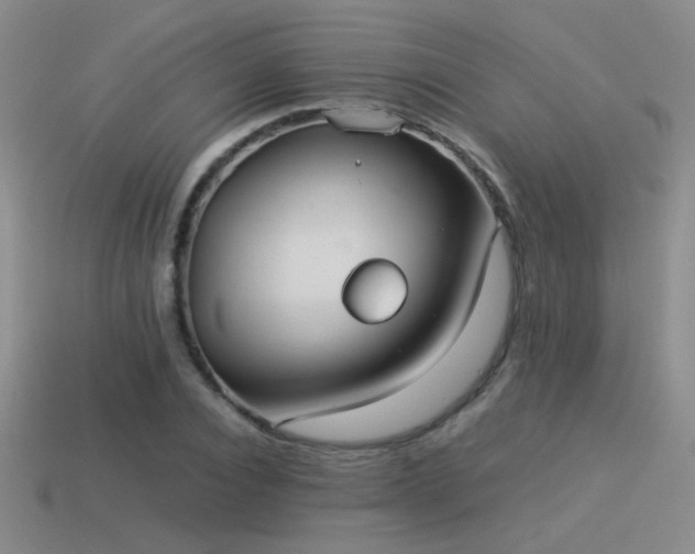 X0000114150928200910151541