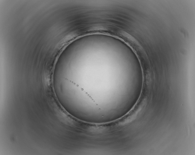 X0000114150929200910151541