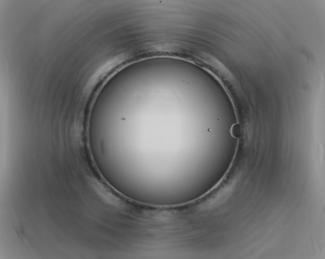 X0000114150930200910151541