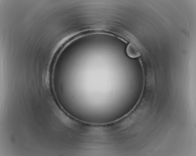 X0000114150932200910151541