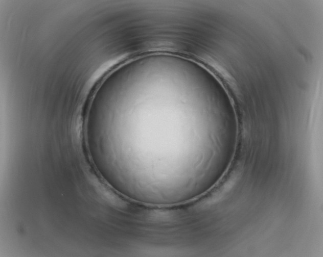 X0000114150933200910151541