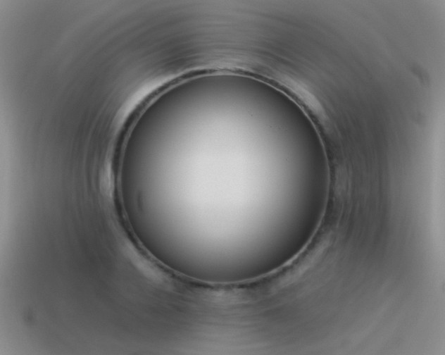 X0000114150936200910151541
