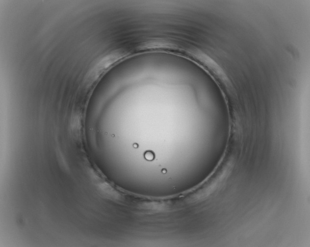 X0000114150937200910151541