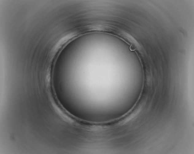 X0000114150938200910151541
