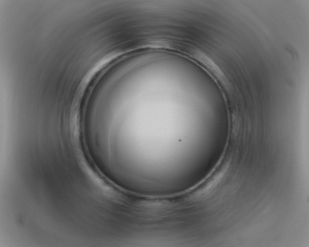 X0000114150939200910151541