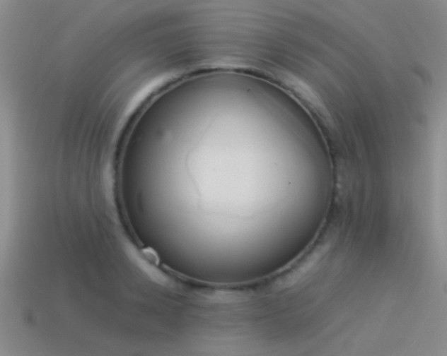 X0000114150942200910151541