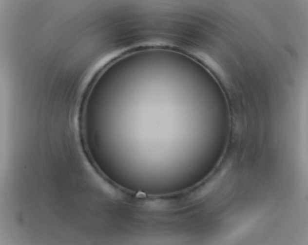 X0000114150943200910151541