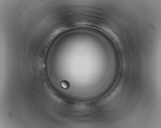X0000114150945200910151541