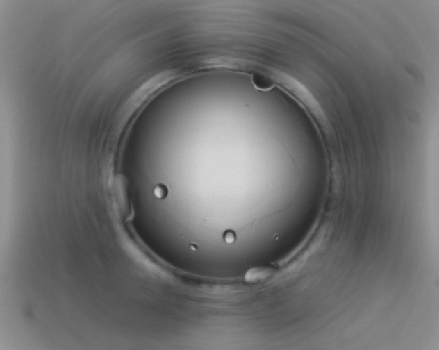 X0000114150946200910151541