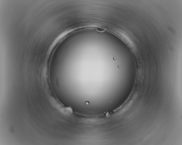 X0000114150948200910151541