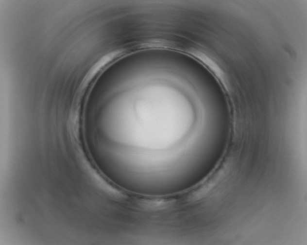 X0000114150949200910151541