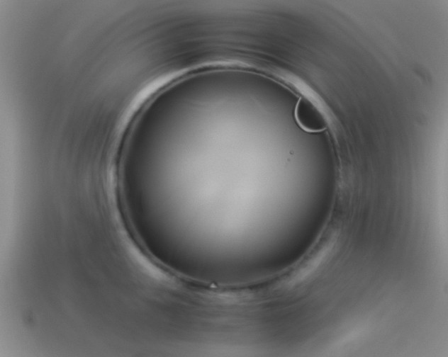 X0000114150951200910151541