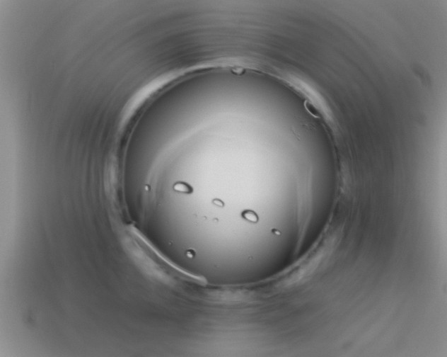X0000114150952200910151541