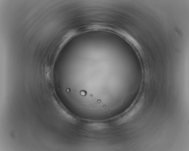 X0000114150953200910151541