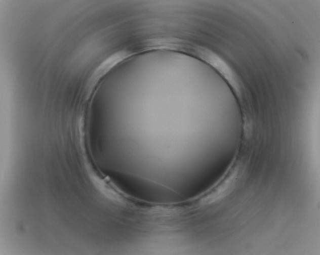 X0000114150954200910151541