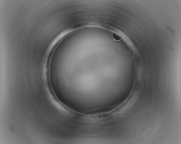 X0000114150955200910151541