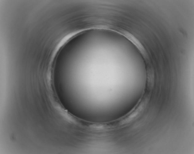 X0000114150956200910151541