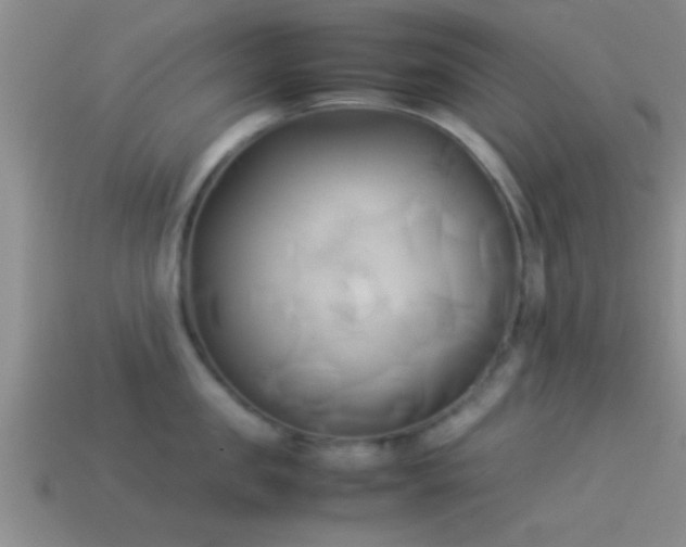 X0000114150957200910151541