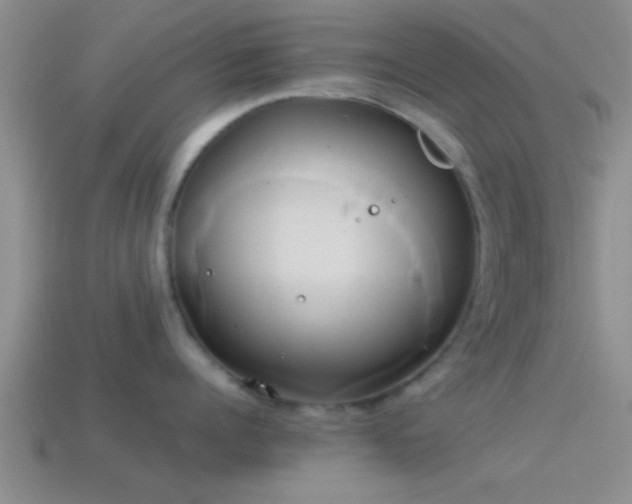 X0000114150960200910151541