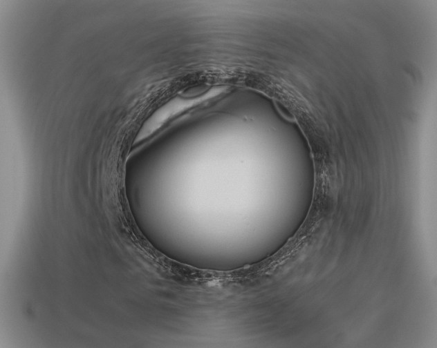 X0000114150961200910151541