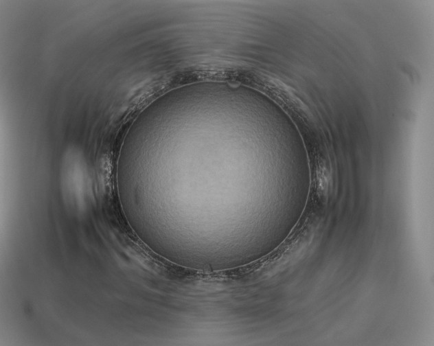 X0000114150964200910151541