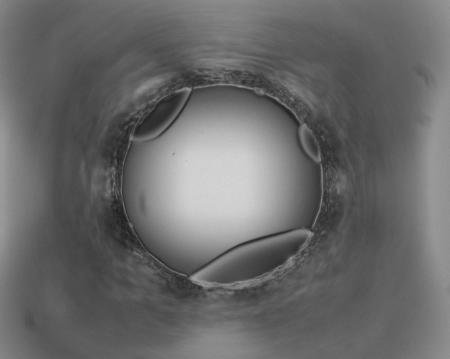 X0000114150965200910151541