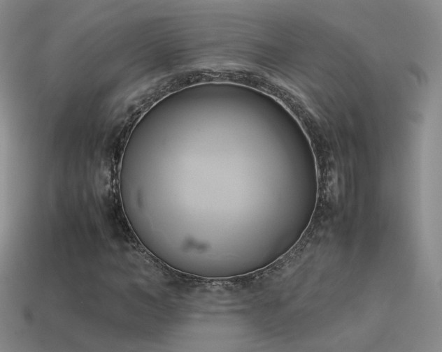 X0000114150966200910151541
