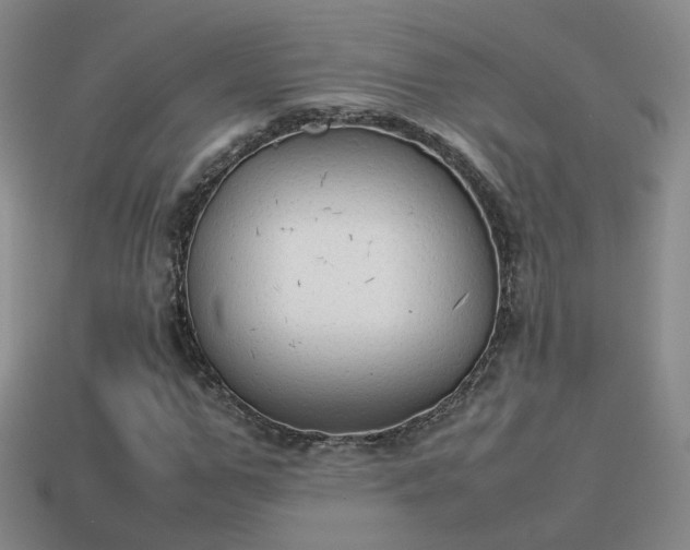 X0000114150967200910151541